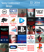 SonyBingo2014.png