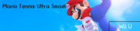 mariotennis.png