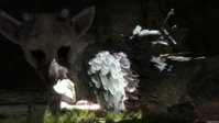 thelastguardian8.jpg