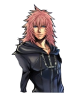 Marluxia's Apprentice