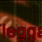 Flegga