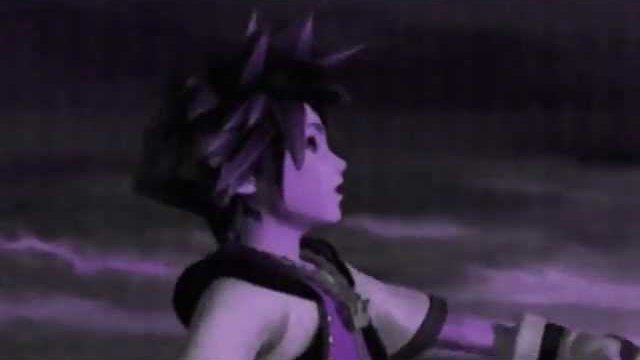 Kingdom Hearts Sora/Roxas